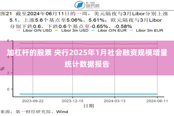 加杠杆的股票 央行2025年1月社会融资规模增量统计数据报告