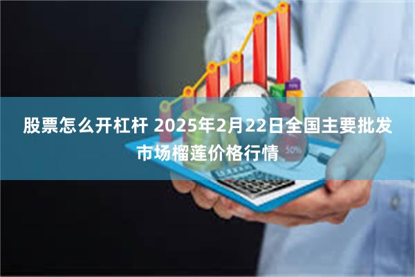 股票怎么开杠杆 2025年2月22日全国主要批发市场榴莲价格行情