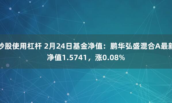 炒股使用杠杆 2月24日基金净值：鹏华弘盛混合A最新净值1.5741，涨0.08%