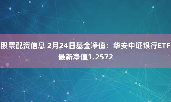 股票配资信息 2月24日基金净值：华安中证银行ETF最新净值1.2572