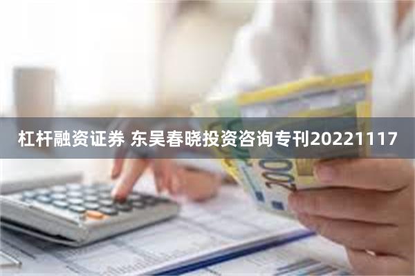 杠杆融资证券 东吴春晓投资咨询专刊20221117